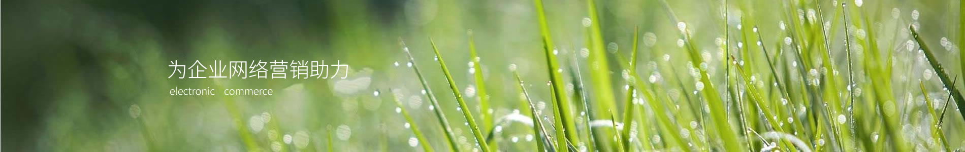 ӱ԰־۹޹˾